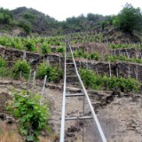 2305F 074 Mosel Radweg